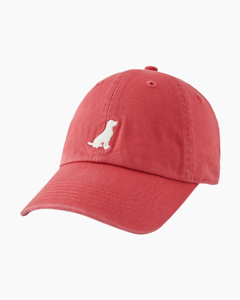 A Chill Cap