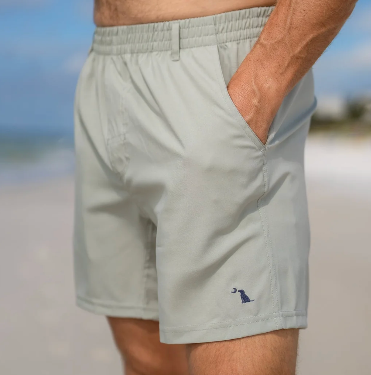 Volley Shorts