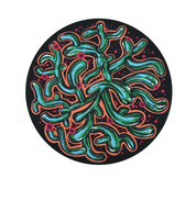 Wingman Artist Series