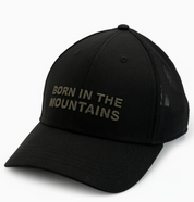 BIM Trucker Hat