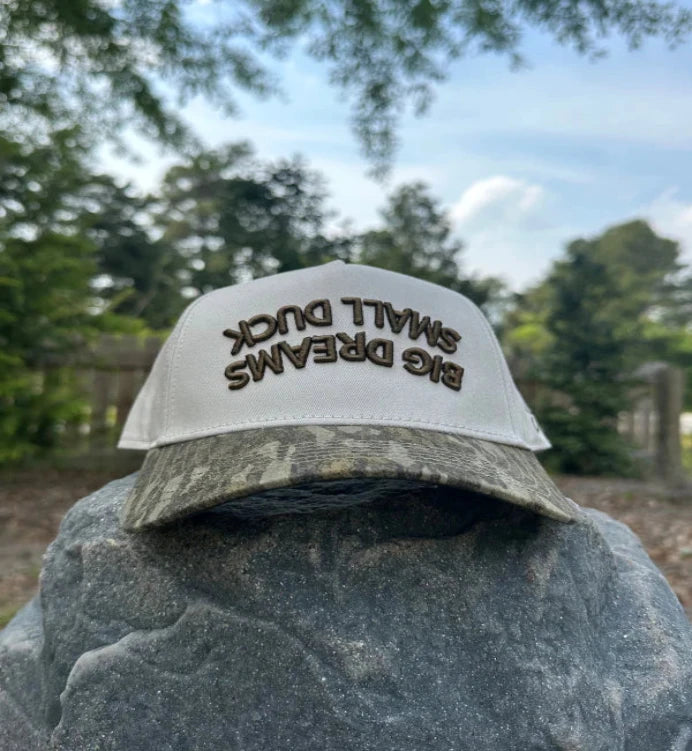 Small Ducks Big Dreams