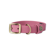 Mason Waterproof Dog Collar