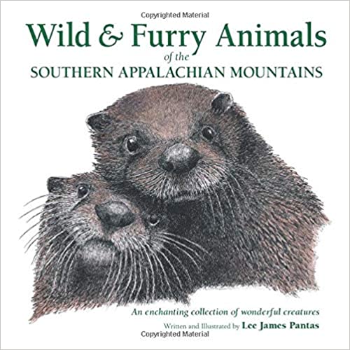 Wild & Furry Animals Book